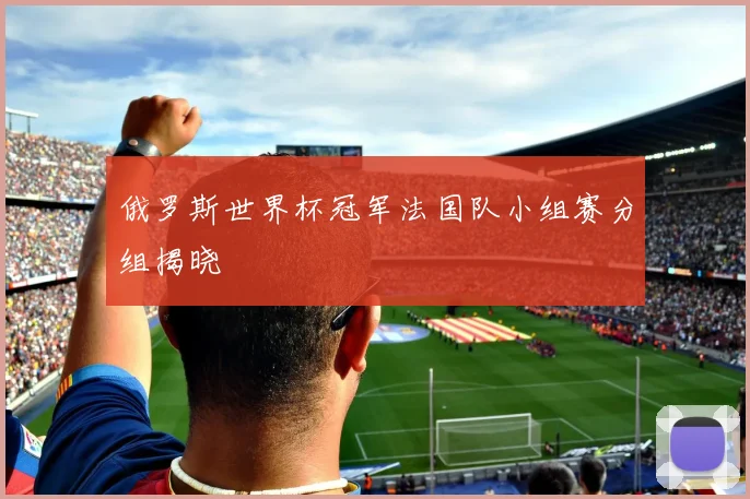 俄罗斯世界杯冠军法国队小组赛分组揭晓
