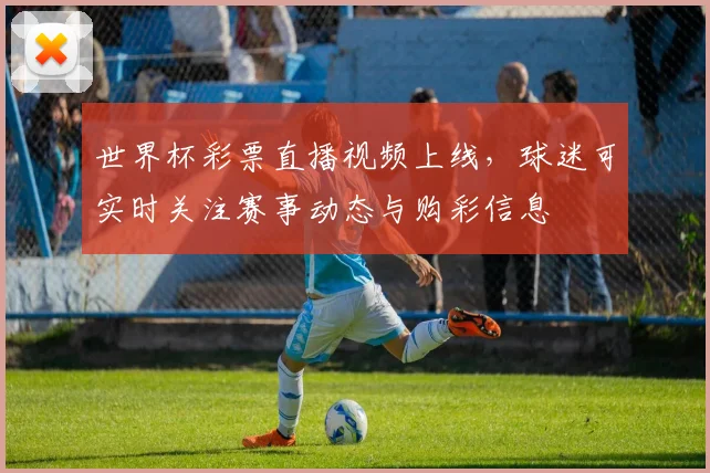 世界杯彩票直播视频上线，球迷可实时关注赛事动态与购彩信息