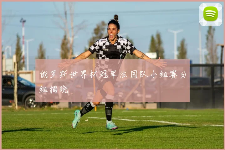 俄罗斯世界杯冠军法国队小组赛分组揭晓