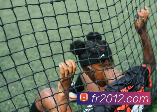 半岛官网网页版APP 体育赛事宣传图